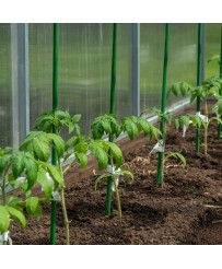 Tomato plant stake pole 120 cm 10 pcs