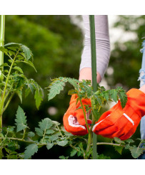 Tomato plant stake pole 120 cm 10 pcs
