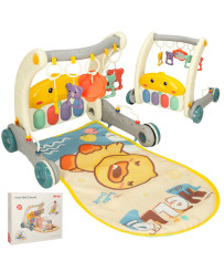Educational push walker mat...