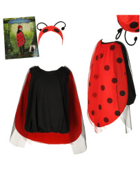 Ladybug carnival costume...