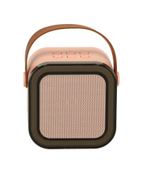 Karaoke set 2 microphones + portable speaker BLUETOOTH USB LED pink