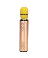 Bluetooth karaoke wireless microphone gold