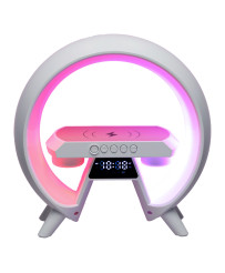 LED light with induction charger with radio