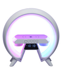 LED light with induction charger with radio