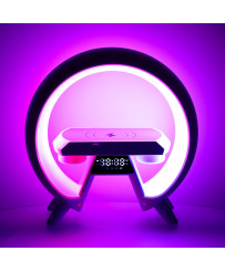 LED light with induction charger with radio