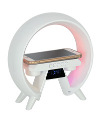 LED light with induction charger with radio