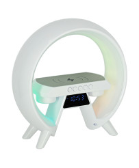 LED light with induction charger with radio