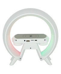 LED light with induction charger with radio