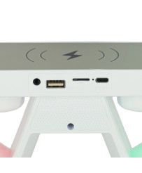 LED light with induction charger with radio