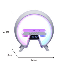 LED light with induction charger with radio