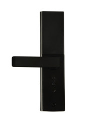 Fingerprint code combination door handle card black