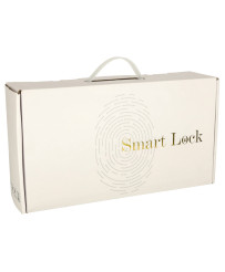 Fingerprint code combination door handle card black
