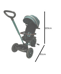 TRIKE FIX Premium Green Tricycle