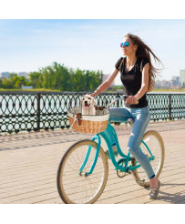 Rattan bicycle basket with metal frame