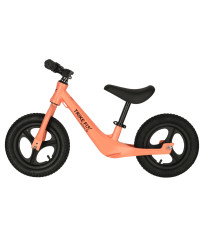 Trike Fix Active X2...