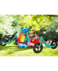 Trike Fix Active X2 green cross-country bicycle