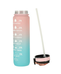 Water bottle bidon 1l pink and blue