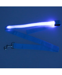 LED luminous dog leash 2.5x120cm blue