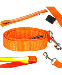 Luminous LED dog leash...