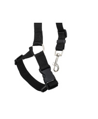Car seat belt leash for dog...