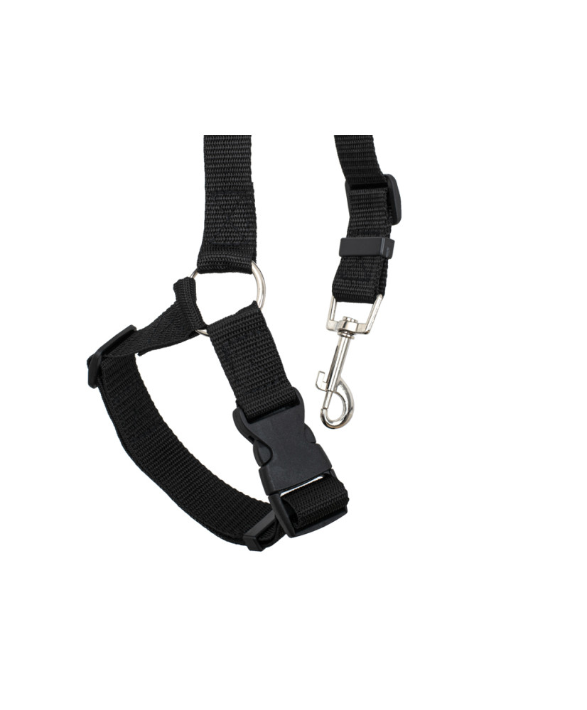 Car seat belt leash for dog cat