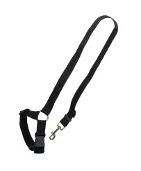 Car seat belt leash for dog cat