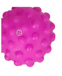 Sensory balls corrective toys set in a net