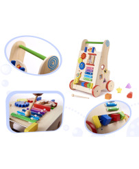 Pusher wooden walker educational cube 6in1