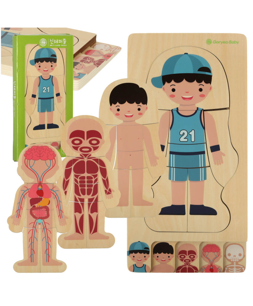 Wooden layered puzzle montessori body building boy