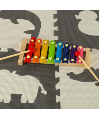 Colorful educational wooden dulcimer