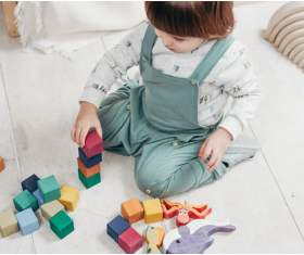 Wooden Toys