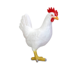 Pets and farm animals