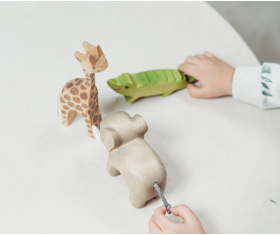 Animals